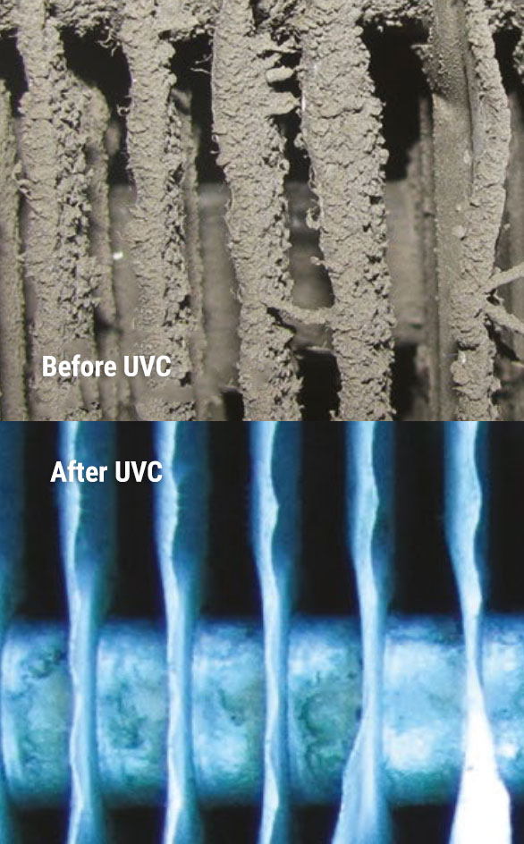 Before and After UVC on Coils