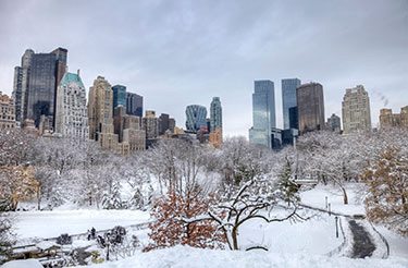 winter in new york city